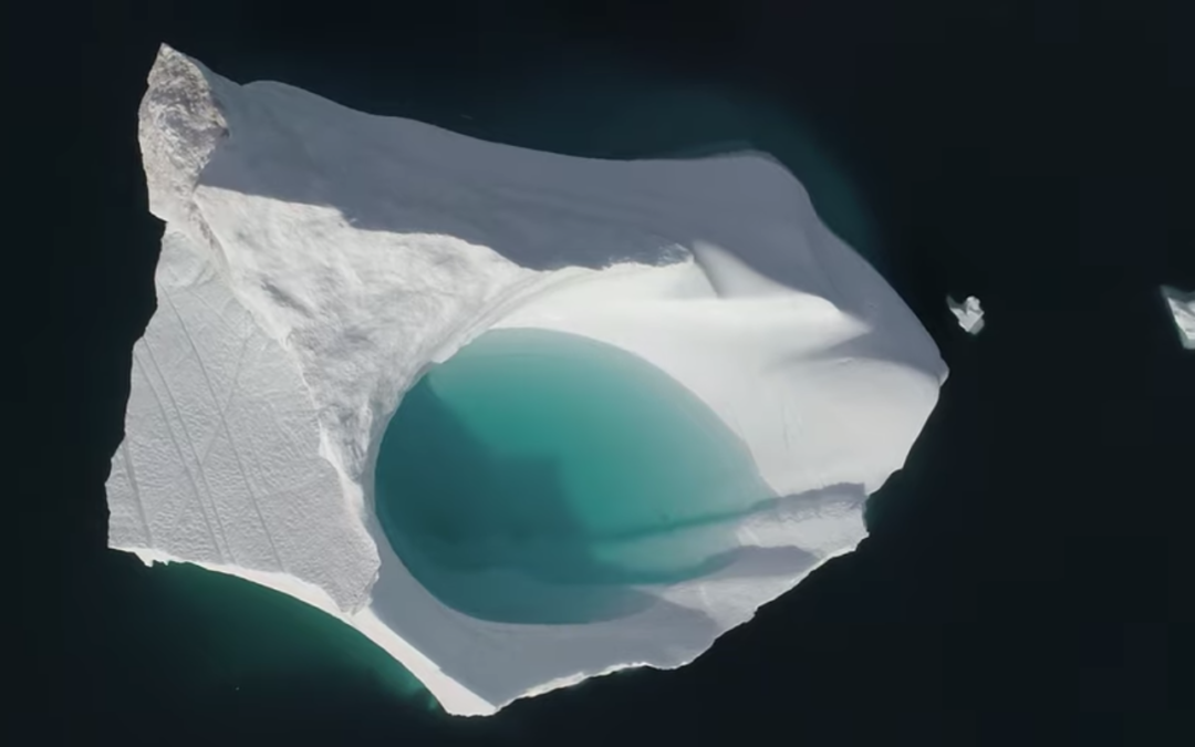Climate Week – Blue Leaders Call to Action