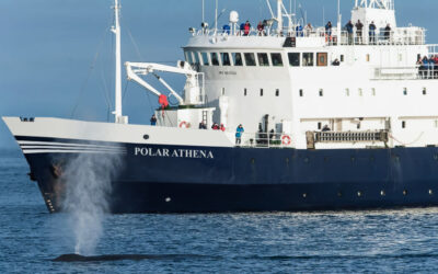 The Polar Athena